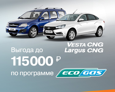Программа ''EcoGas''